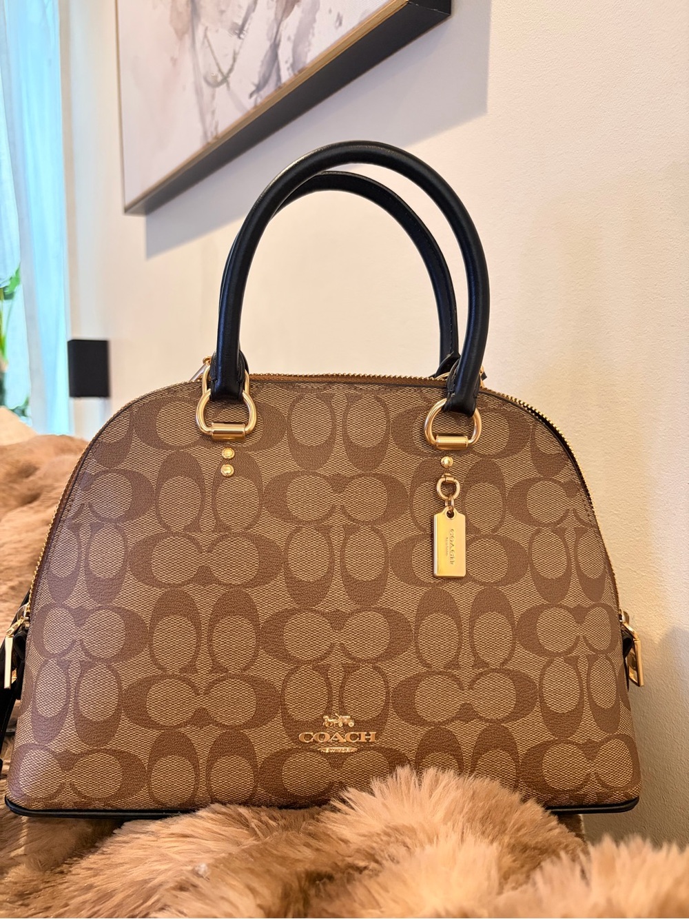 Coach Dome Satchel in Signature Jaquard